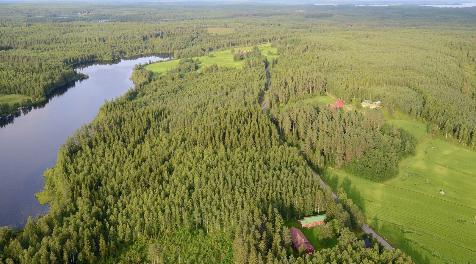Lähinnä Kotiaho, Nypykkä, Lapinjärven rantapellolla Lapinjärvi.