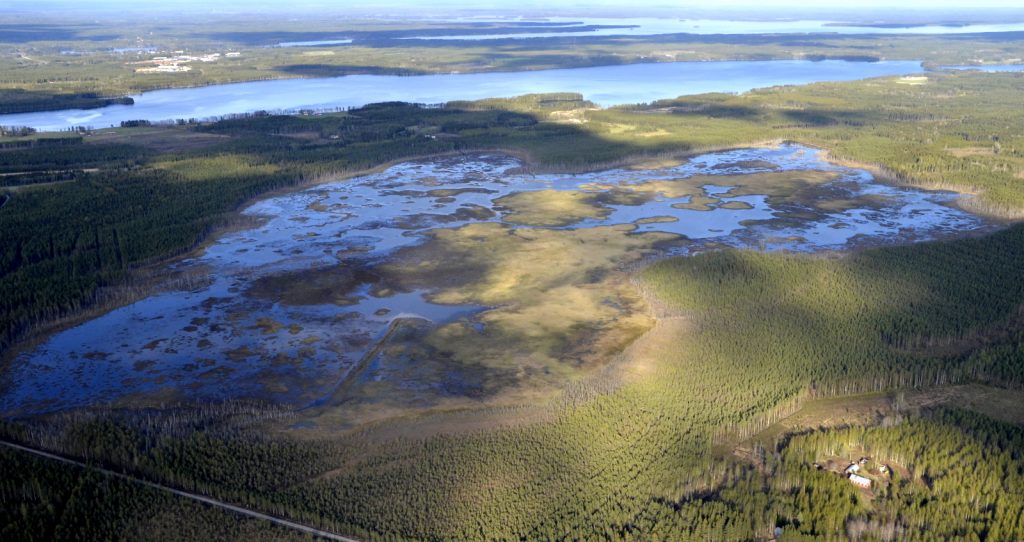 Siirryn seuraavan kosteikon luokse, nimeltään tämä on Hetejärvi. Avoimempi vesi heti seuraavana on Koutajärvi. Vasemmalla kuvassa Keitele kk.