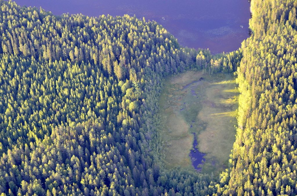 Keiteleen toinen Ruuponlahti ja Ruuponjärvi. Järvi jo melko pieni:)